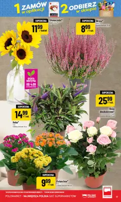 POLOmarket - gazetka promocyjna Gazetka od środy 02.09 do wtorku 08.09 - strona 17
