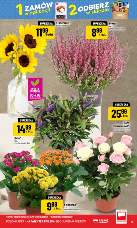 POLOmarket - gazetka promocyjna Gazetka od środy 02.09 do wtorku 08.09 - strona 17