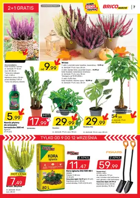 Bricomarche - gazetka promocyjna Gazetka od środy 09.09 do soboty 19.09 - strona 8