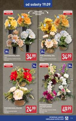 Aldi - gazetka promocyjna Aldi ma to coś! od środy 16.09 do soboty 19.09 - strona 13