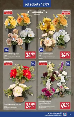 Aldi - gazetka promocyjna Aldi ma to coś! od środy 16.09 do soboty 19.09 - strona 13