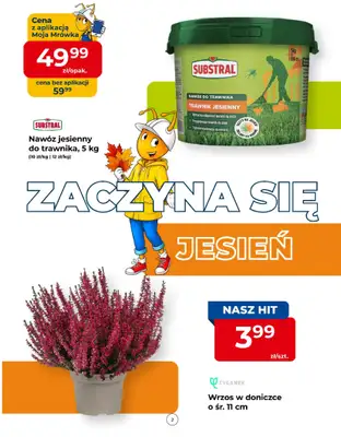 PSB Mrówka - gazetka promocyjna Gazetka od czwartku 10.09 do soboty 19.09 - strona 2
