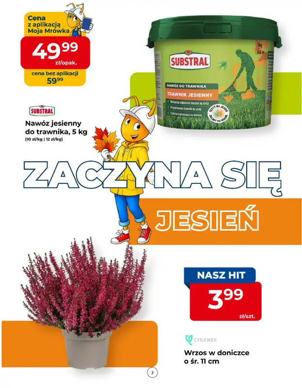 PSB Mrówka - gazetka promocyjna Gazetka od czwartku 10.09 do soboty 19.09 - strona 2