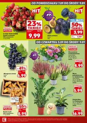 Kaufland - gazetka promocyjna Gazetka Tygodnia od czwartku 03.09 do środy 09.09 - strona 5