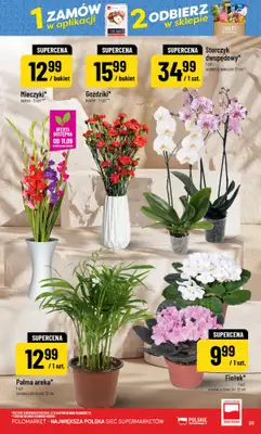POLOmarket - gazetka promocyjna Gazetka od środy 09.09 do wtorku 15.09 - strona 25
