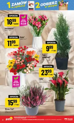 POLOmarket - gazetka promocyjna Gazetka od środy 09.09 do wtorku 15.09 - strona 24