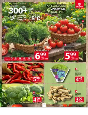 Selgros - gazetka promocyjna Oferta spożywcza od czwartku 10.09 do środy 23.09 - strona 2