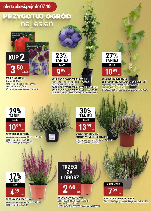 bi1 - gazetka promocyjna Gazetka Ełk I Soczysta jesień: czas na zbiory! od środy 09.09 do wtorku 22.09 - strona 18