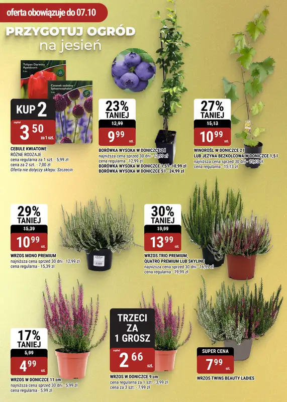 bi1 - gazetka promocyjna Gazetka Rzeszów I Soczysta jesień: czas na zbiory! od środy 09.09 do wtorku 22.09 - strona 24