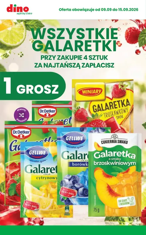 Dino - gazetka promocyjna Najlepsze promocje! od środy 09.09 do wtorku 15.09 - strona 5