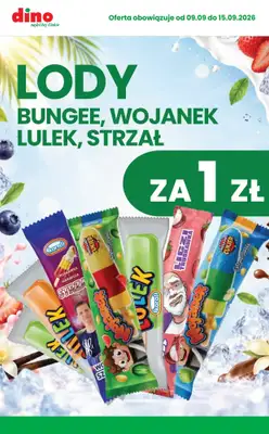 Dino - gazetka promocyjna Najlepsze promocje! od środy 09.09 do wtorku 15.09 - strona 3