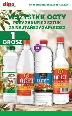 Dino - gazetka promocyjna Najlepsze promocje! od środy 09.09 do wtorku 15.09 - strona 2
