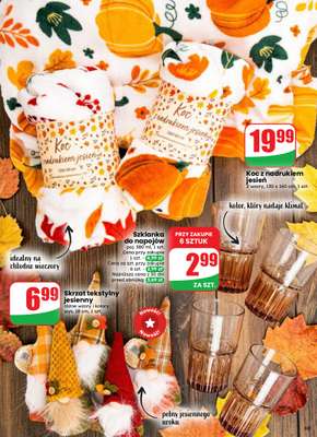 Dino - gazetka promocyjna Gazetka 37 / 2026 od środy 09.09 do wtorku 15.09 - strona 59