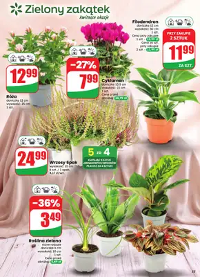 Dino - gazetka promocyjna Gazetka 37 / 2026 od środy 09.09 do wtorku 15.09 - strona 55