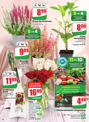 Dino - gazetka promocyjna Gazetka 37 / 2026 od środy 09.09 do wtorku 15.09 - strona 56