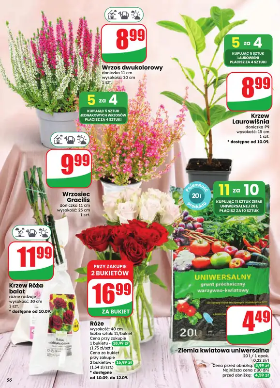 Dino - gazetka promocyjna Gazetka 37 / 2026 od środy 09.09 do wtorku 15.09 - strona 56
