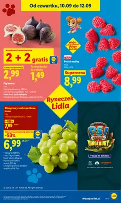Lidl - gazetka promocyjna Oferta od czwartku od czwartku 10.09 do soboty 12.09 - strona 43