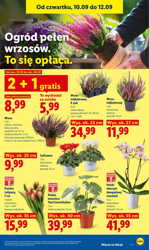 Lidl - gazetka promocyjna Oferta od czwartku od czwartku 10.09 do soboty 12.09 - strona 83