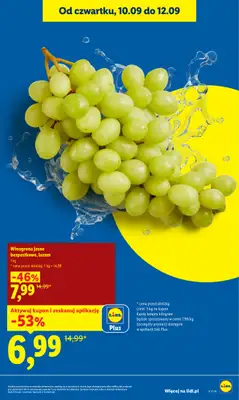 Lidl - gazetka promocyjna Oferta od czwartku od czwartku 10.09 do soboty 12.09 - strona 21