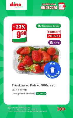 Dino - gazetka promocyjna Specjalna oferta na 09.09.2026 - promocje spoza gazetki od środy 09.09  - strona 2