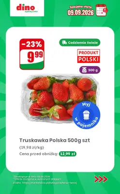 Dino - gazetka promocyjna Specjalna oferta na 09.09.2026 - promocje spoza gazetki od środy 09.09  - strona 2