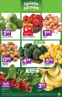 Stokrotka - gazetka promocyjna Gazetka Express od czwartku 10.09 do środy 16.09 - strona 2