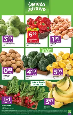 Stokrotka - gazetka promocyjna Gazetka Express od czwartku 10.09 do środy 16.09 - strona 2