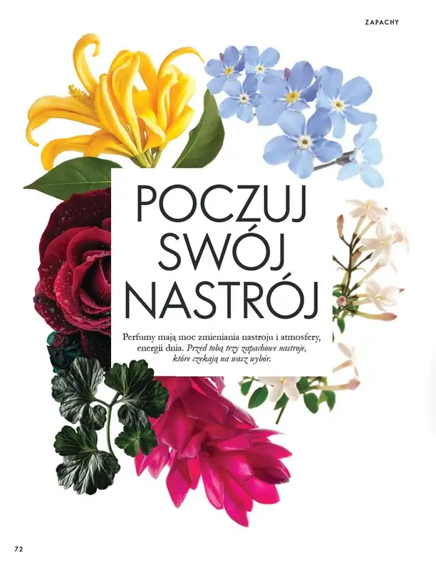 Oriflame - gazetka promocyjna Katalog 14/2026 od środy 30.09 do wtorku 10.11 - strona 72