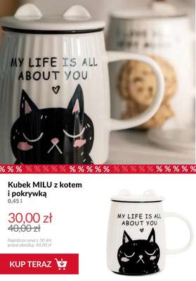Homla - gazetka promocyjna Akcesoria do kawy i herbaty od środy 09.09  - strona 2