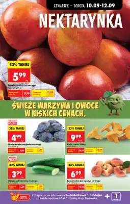 Biedronka - gazetka promocyjna Od czwartku od czwartku 10.09 do środy 16.09 - strona 35