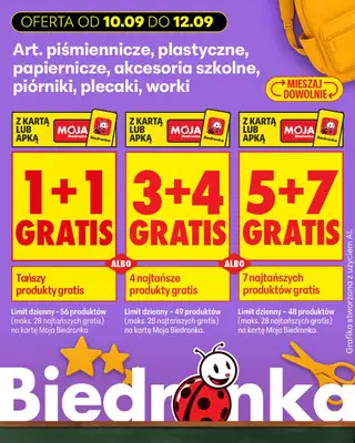 Biedronka - gazetka promocyjna Biedronkowe oszczędności od czwartku od czwartku 10.09 do soboty 12.09 - strona 17