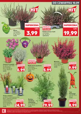 Kaufland - gazetka promocyjna Gazetka Tygodnia od czwartku 10.09 do środy 16.09 - strona 7