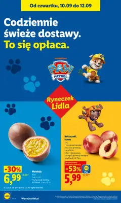 Lidl - gazetka promocyjna Oferta od czwartku od czwartku 10.09 do soboty 12.09 - strona 44