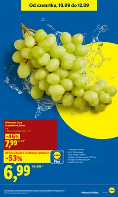 Lidl - gazetka promocyjna Oferta od czwartku od czwartku 10.09 do soboty 12.09 - strona 21