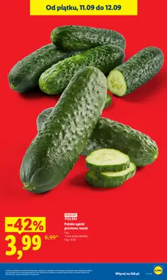 Lidl - gazetka promocyjna Oferta od czwartku od czwartku 10.09 do soboty 12.09 - strona 23