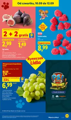 Lidl - gazetka promocyjna Oferta od czwartku od czwartku 10.09 do soboty 12.09 - strona 45