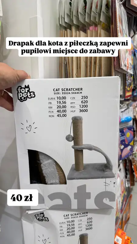Pepco - gazetka promocyjna Zakupowe inspiracje w Pepco od poniedziałku 14.09  - strona 11