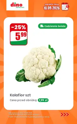 Dino - gazetka promocyjna Specjalna oferta na 10.09.2026 - promocje spoza gazetki od czwartku 10.09 do czwartku 10.09 - strona 5
