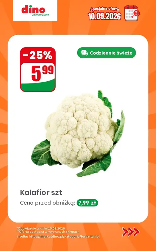 Dino - gazetka promocyjna Specjalna oferta na 10.09.2026 - promocje spoza gazetki od czwartku 10.09 do czwartku 10.09 - strona 5