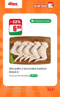 Dino - gazetka promocyjna Specjalna oferta na 10.09.2026 - promocje spoza gazetki od czwartku 10.09 do czwartku 10.09 - strona 3