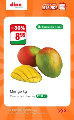 Dino - gazetka promocyjna Specjalna oferta na 10.09.2026 - promocje spoza gazetki od czwartku 10.09 do czwartku 10.09 - strona 6