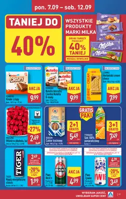 Aldi - gazetka promocyjna Pełny katalog! od poniedziałku 07.09 do soboty 12.09 - strona 17