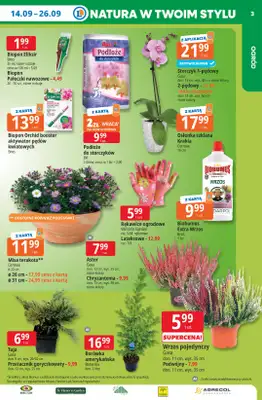 Leclerc - gazetka promocyjna Oferta E.Leclerc | Tanio to tu! od poniedziałku 14.09 do poniedziałku 21.09 - strona 3