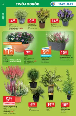 Leclerc - gazetka promocyjna Oferta E.Leclerc | Tanio to tu! od poniedziałku 14.09 do poniedziałku 21.09 - strona 4