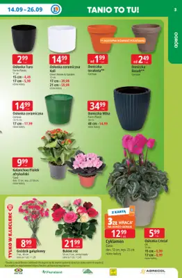 Leclerc - gazetka promocyjna Oferta E.Leclerc | Tanio to tu! od poniedziałku 14.09 do poniedziałku 21.09 - strona 3