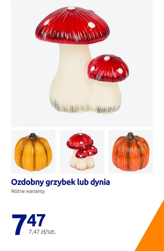Action - gazetka promocyjna Niskie ceny na przytulne wnętrza! od piątku 11.09 do wtorku 15.09 - strona 10