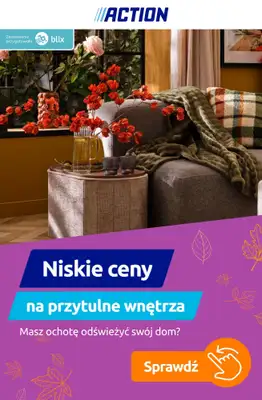 Action - gazetka promocyjna Niskie ceny na przytulne wnętrza! od piątku 11.09 do wtorku 15.09