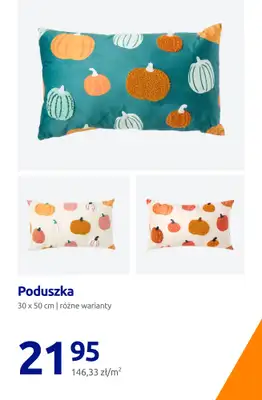Action - gazetka promocyjna Niskie ceny na przytulne wnętrza! od piątku 11.09 do wtorku 15.09 - strona 13