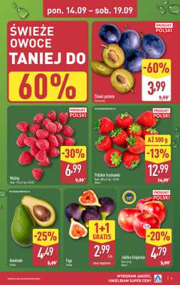 Aldi - gazetka promocyjna Pełny katalog! od poniedziałku 14.09 do soboty 19.09 - strona 3