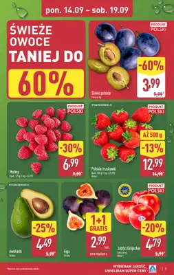 Aldi - gazetka promocyjna Pełny katalog! od poniedziałku 14.09 do soboty 19.09 - strona 3